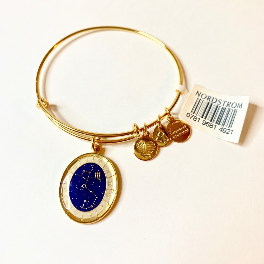 Alex&Ani Scorpio Celestial Wheel Scorpio Bracelet